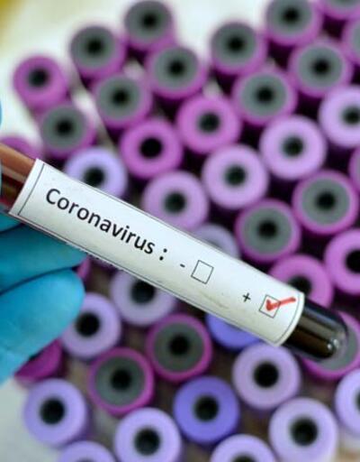 Koronavirüs vücudumuzu nasıl ele geçiriyor? İşte organlara etkileri