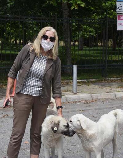 HAYTAP: Türkiye'yi eleştiren ülkeler hayvanları gaz odalarına gönderiyor