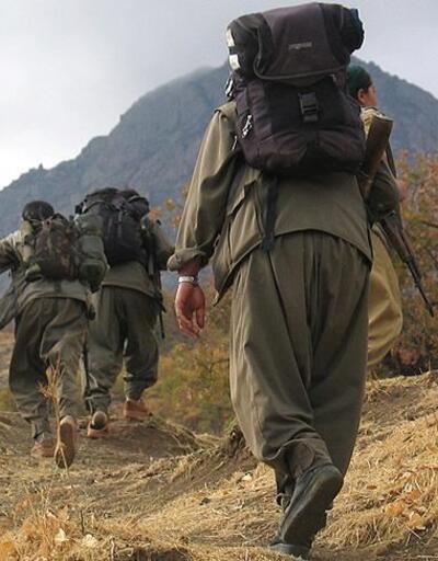 Zap bölgesinde 2 PKK'lı terörist etkisiz hale getirildi