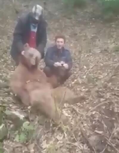 Son Dakika Haberi: Vurdukları ayıyı yumruklayan avcılar, kamerada | Video