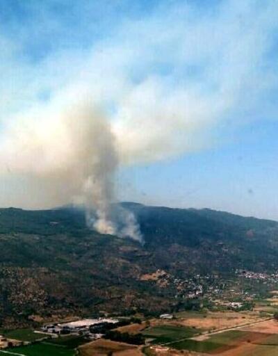 Son dakika... Efeler'de 4 hektarlık zeytinlik ve ormanlık alan yangında zarar gördü
