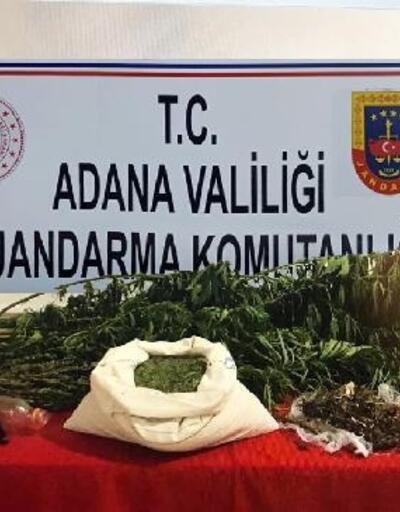 Adana'da bir evde 8 kilo esrar ele geçirildi