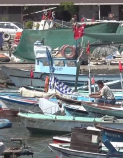 Balık sezonu açılıyor, balıkçılar sezondan umutlu | Video