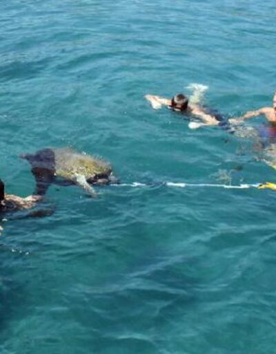 Son dakika.. Yaralı yeşil deniz kaplumbağası 3 saatte kurtarıldı