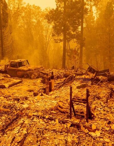 ABD'nin batısındaki orman yangınlarında ölü sayısı 15'e yükseldi