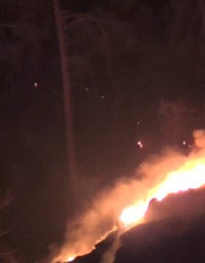 Antalya Adrasan'da orman yangını | Video
