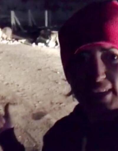 İlçe merkezine inen ayı ve yavrularıyla selfie | Video
