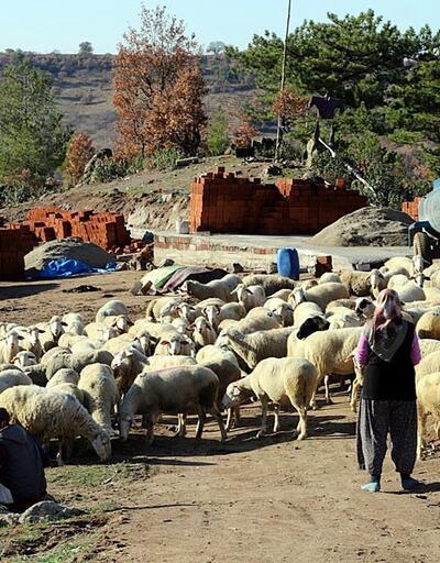 Koyunları telef olan aileyi Bakan Pakdemirli sevindirdi