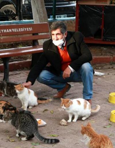 Adana'da 25 kedi zehirlendi