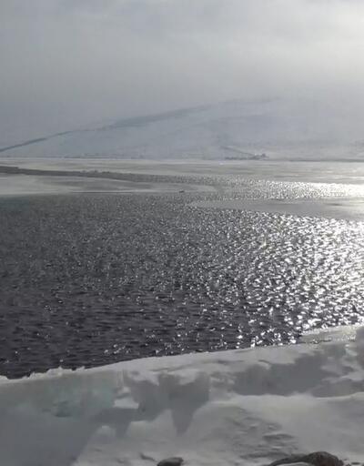 Çıldır Gölü'nde iki farklı manzara: Bir yanı çözüldü, bir yanı hala buzlu