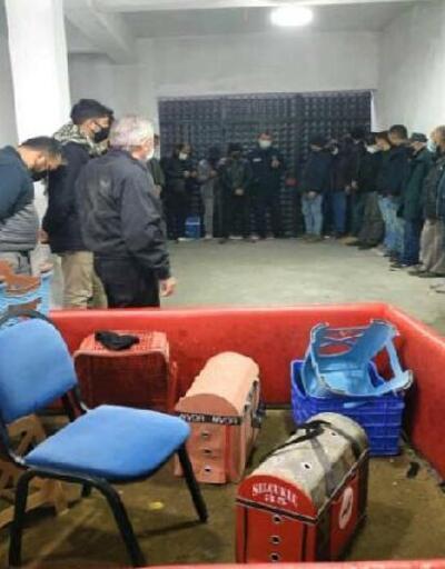 Horoz dövüştüren 27 kişiye toplam 121 bin lira ceza