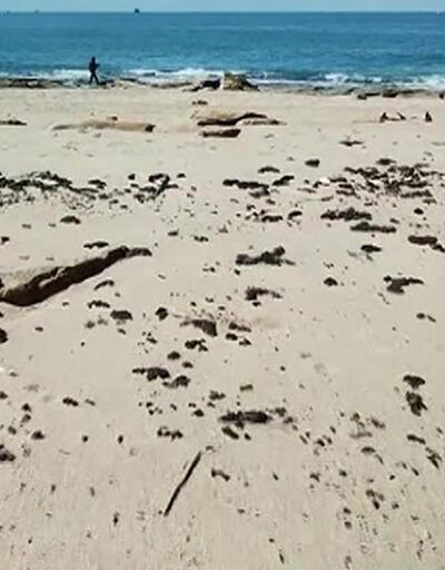 Akdeniz'den gelen öbek öbek katran sahile vurdu
