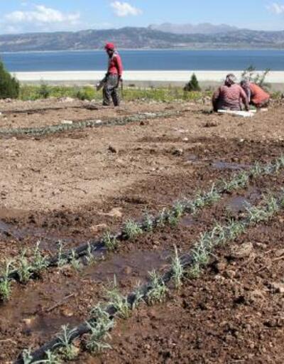 Burdur Gölü'nü 'susuz tarım' kurtaracak