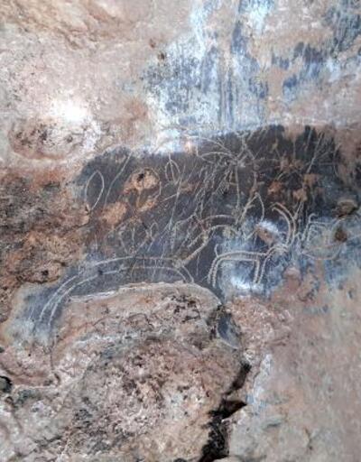Mağarada 8 bin yıllık kaya resimleri bulundu