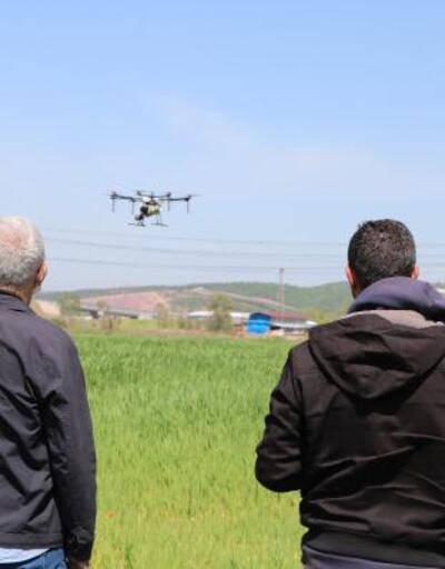 Tarım arazileri dronla ilaçlandı