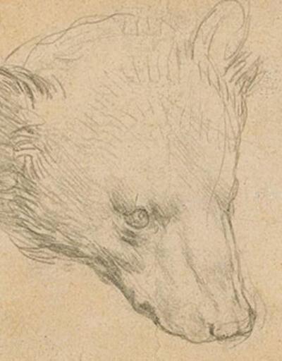 Leonardo da Vinci'nin çizimi servet değerinde satılacak 