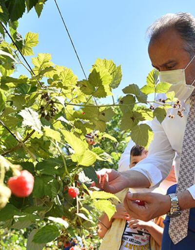 Bursa’da tarımın marka değeri artıyor