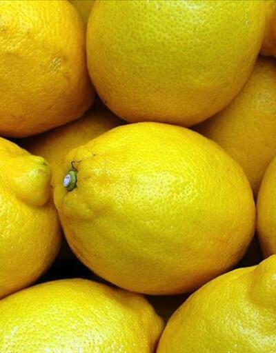 Mayısta en çok limonun fiyatı arttı