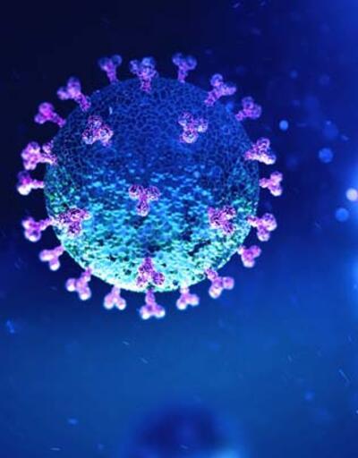 Mutasyonlu virüs hamilelerde ölümü artırdı