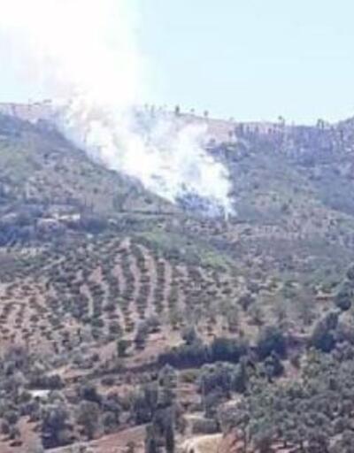 İzmir Kiraz'da orman yangını çıktı