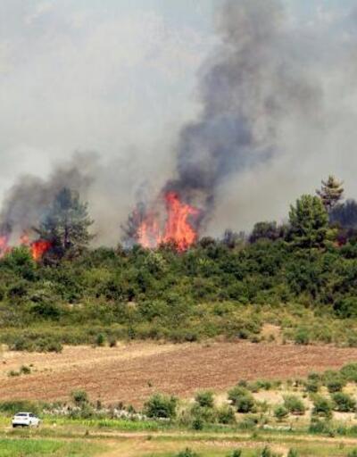 Isparta, Denizli, Elazığ'da orman yangınları