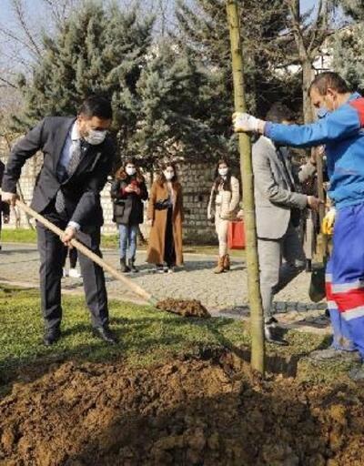 Kağıthane Belediyesi Manavgat’a 10 bin fidan gönderecek