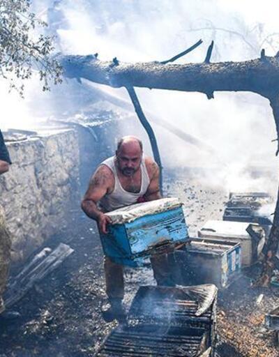 Çam balı üretiminin yüzde 95’i Türkiye’deydi: Yangınlarda arı kovanları da kül oldu