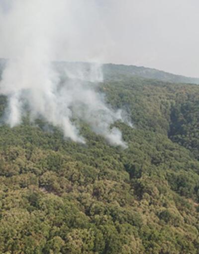 OGM: Tunceli'de 2 helikopter ve 1 uçakla yangına müdahale sürüyor 