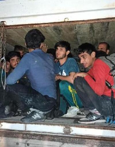 Çimento torbalarının altından 78 kaçak göçmen çıktı