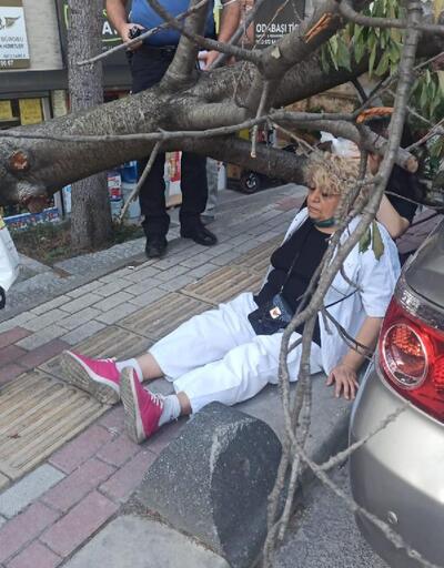 Bakırköy'de ağaç devrildi; dalın çarptığı kadın yaralandı