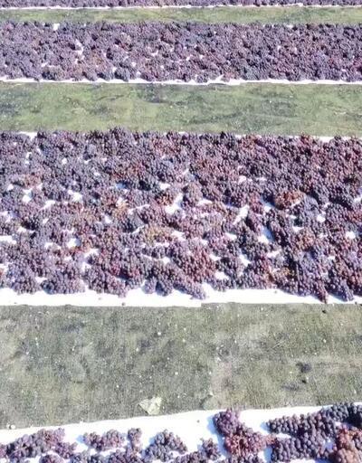 Üzümler halı sahada kurutuluyor