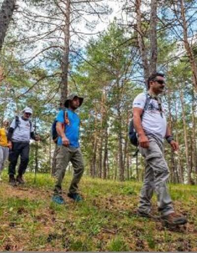 Sivas'ta ormanlar kamp ve doğaseverleri ağırlıyor