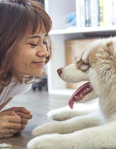 Evcil hayvanlar zihinsel sağlığınızı nasıl iyileştirebilir?