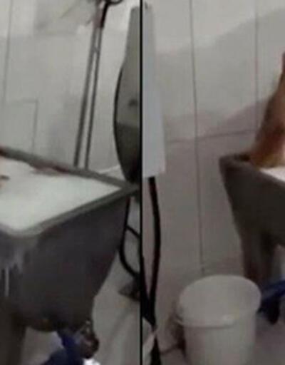 Süt kazanında banyo yapan işçiler beraat etti