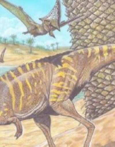 Brezilya’da dişsiz bir dinozor kalıntısı keşfedildi