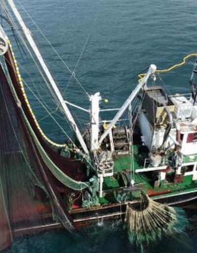 Karadeniz'de balık stoku azalıyor
