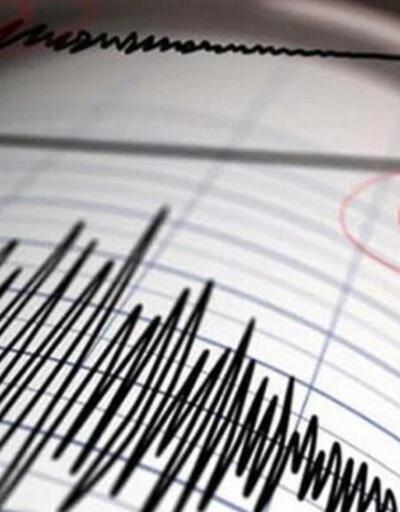 SON DAKİKA HABERİ: Van'da korkutan deprem