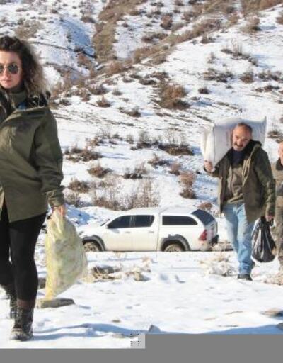 Şırnak'ta yaban hayvanları için doğaya yem bırakıldı