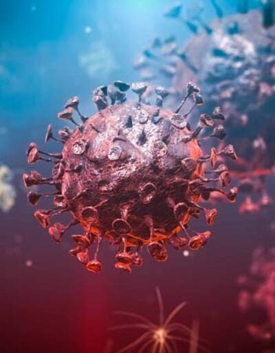 Koronavirüsün uzun vadeli bir etkisi daha ortaya çıktı  