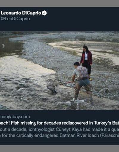 Leonardo DiCaprio'dan Batman Bantlı Çöpçü Balığı paylaşımı
