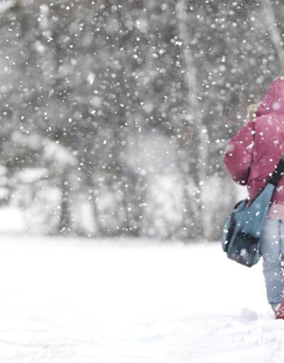17 Ocak Pazartesi kar tatili olan iller: Samsun, Ordu, Kastamonu, Artvin, Bolu, Trabzon, Hakkari, Sinop, Rize..