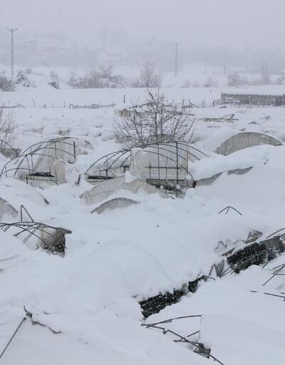 Amasya’da yoğun kar yağışı seraları yıktı