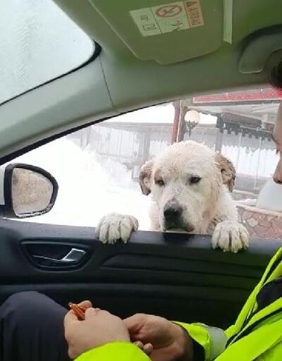 Polis, krakerle köpeği besledi