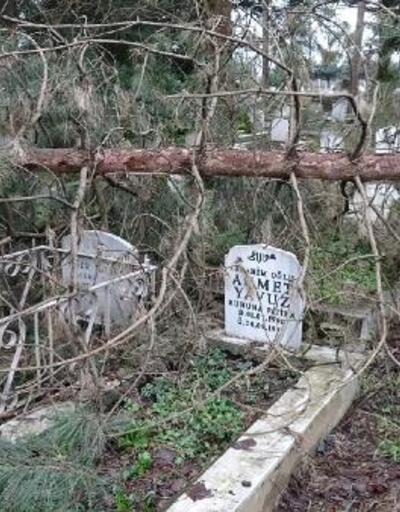 Ağaç kesimi sırasında mezarların zarar gördüğü iddiası