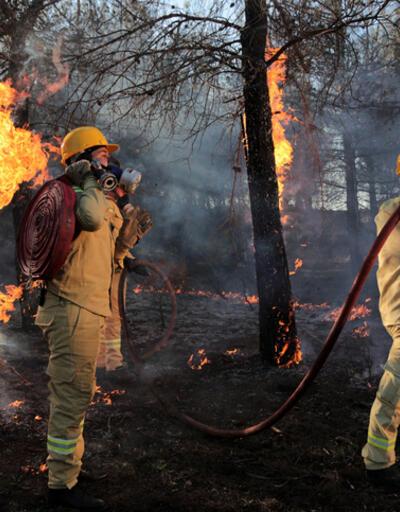 OGM yangın işçisi alımı ne zaman, şartları neler? Tarım ve Orman Bakanlığı 5 bin yangın işçisi alacak! 