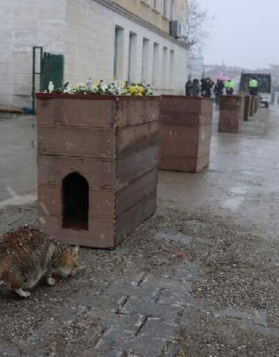 Yalova Belediyesi geri dönüşüm malzemeleriyle kedi yuvası yaptı