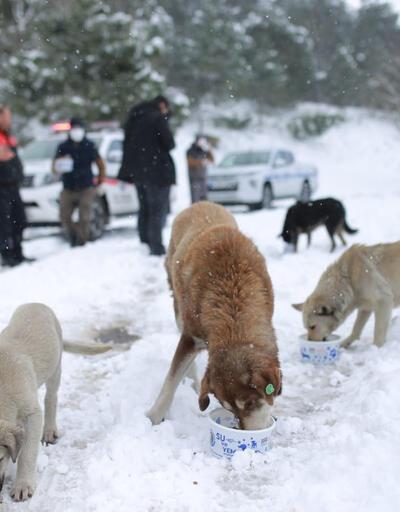 Son dakika haberi: Kar İstanbul'da etkisini arttırıyor! Kare kare son durum