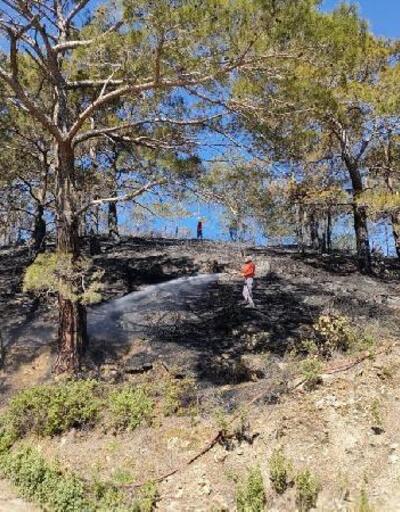 Anamur'da 1 hektarlık orman yandı