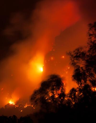 Meksika'da orman yangını alarmı: "Kontrol altına alınamıyor!"