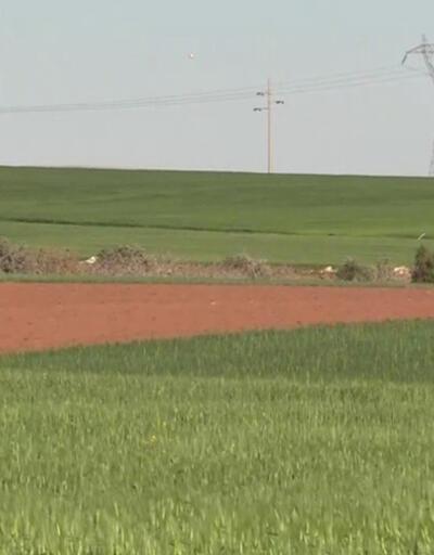 350 çiftçiye 278 ton yazlık buğday dağıtıldı